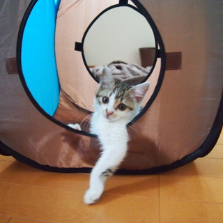 ステキな家族が見つかりました！