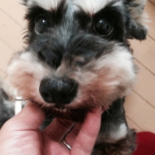 甘えたで可愛い女の子♪