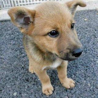 沢山のご応募ありがとうございました