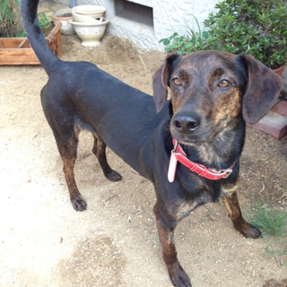 スマートでかっこいいです！