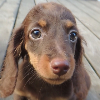 社会性バッチリ・命の危機を乗りこえた子