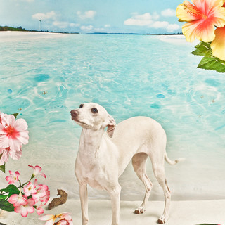 良いご縁がありました、有難うございます。