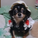 とても素敵な飼い主様が決まりました。