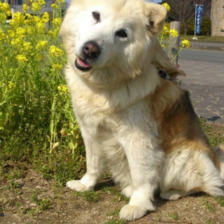 幸せになりました(*˘︶˘*).｡.:*♡！！