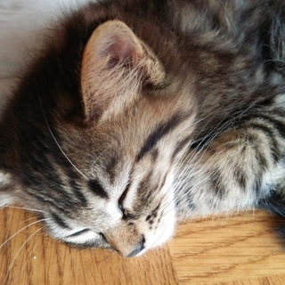 6／1に生まれました