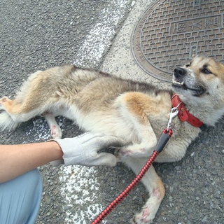 無事譲渡が決まりました♪