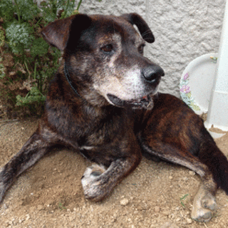 こんな子ですが、宜しくお願い致します。