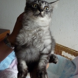 ありがとうございました
