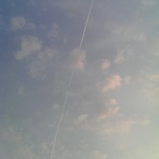 ありがとうございました