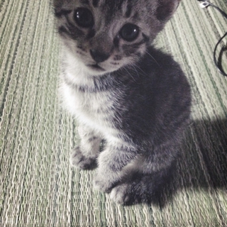 いーちゃんです
