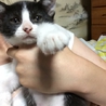 めがねちゃんです サムネイル5