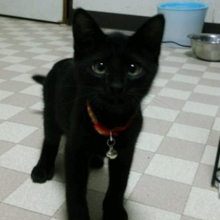 決まりました♪