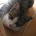 素敵な家族に恵まれました！ありがとうございます。
