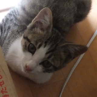 素敵な家族に恵まれました！ありがとうございます。