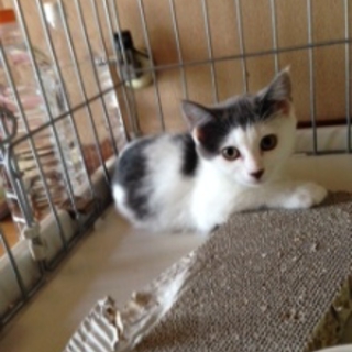 人慣れ途上☆そらちゃん