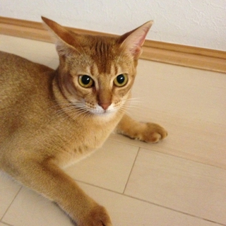 たくさんのご応募ありがとうございました！