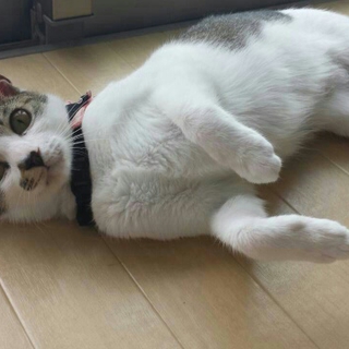 甘甘ﾓﾃﾞﾙのひめ☆