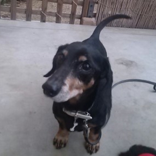 決まりました！