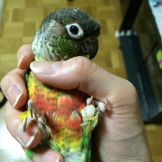 ご応募ありがとうございました