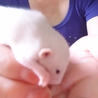 可愛がってくれる方に譲ります☆ サムネイル2