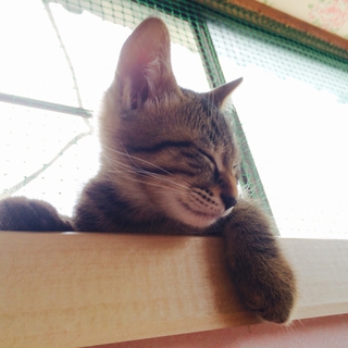 甘え上手で活発なレオマ君♥ ﾟ+｡:.ﾟ