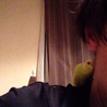 手乗りセキセイインコの中雛  サムネイル2