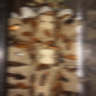 両爬虫類の餌、ﾚｯﾄﾞﾛｰﾁ