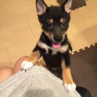東京都より、４ヶ月のゼロちゃん