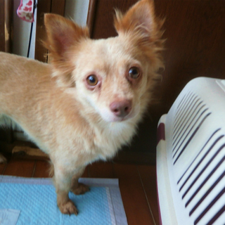 【碧香（あおか）】好奇心旺盛！