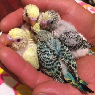 たくさんのご応募ありがとうございました！