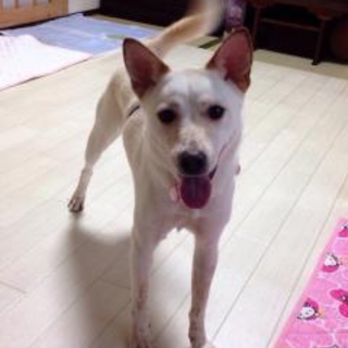 リリー　元気いっぱい！