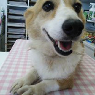 ☆新しいお家が決まりました☆