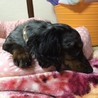 里親さんが決まりました！ サムネイル3