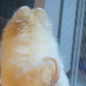 募集終了