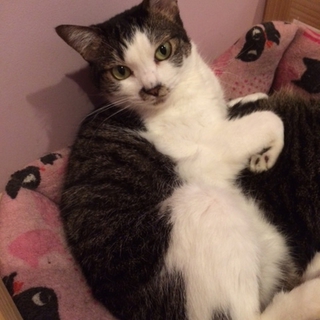 うめ　３歳の女の子！