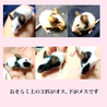 ８月産まれのパンダマウスです サムネイル5
