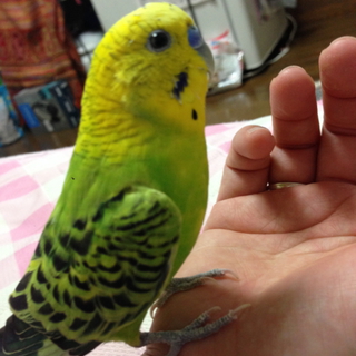 ありがとうございました！