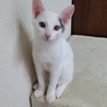 おっとり男子✩まめた サムネイル2