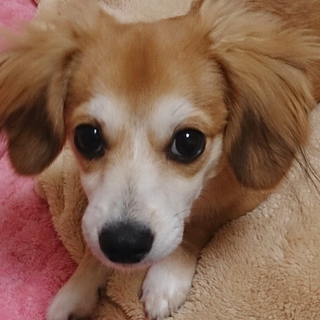 シェリくん☆