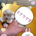 お願いします