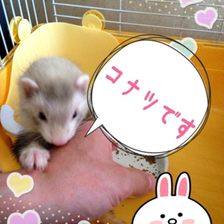 お願いします