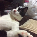 みいちゃんです。