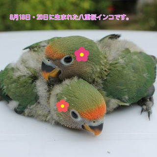 沢山のご応募ありがとうございました。