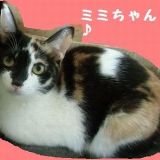 預かり様宅に行きました