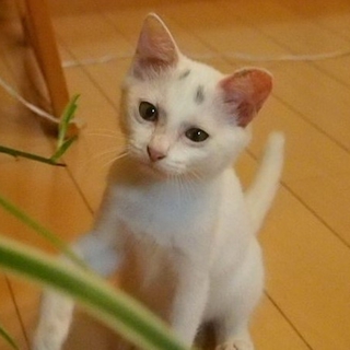 素敵な家族が出来ました！