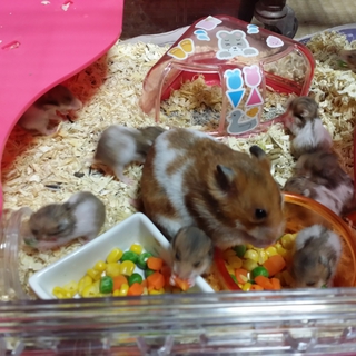 全て無事に決まりました＾＾ありがとうございました