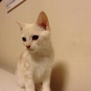 沢山のお問い合わせありがとうございました