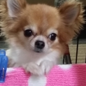 よろしくお願い致します