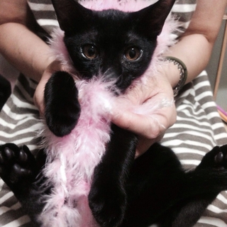 おてんば、デビちゃんです♡