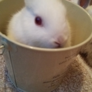 ありがとう御座いました!